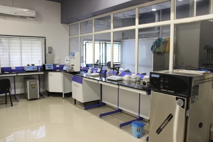 Pharmaceutical & Biotech